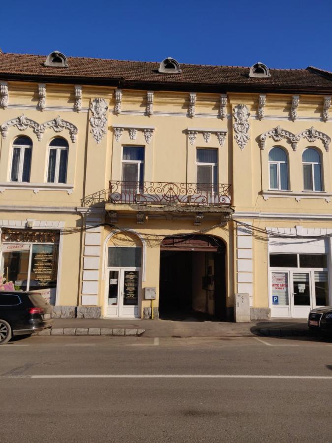 Sandor Central Studio Apartment Târgu-Mureş 외부 사진