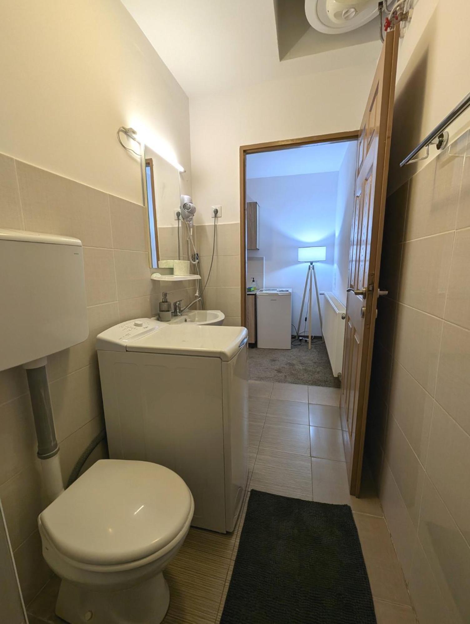 Sandor Central Studio Apartment Târgu-Mureş 외부 사진