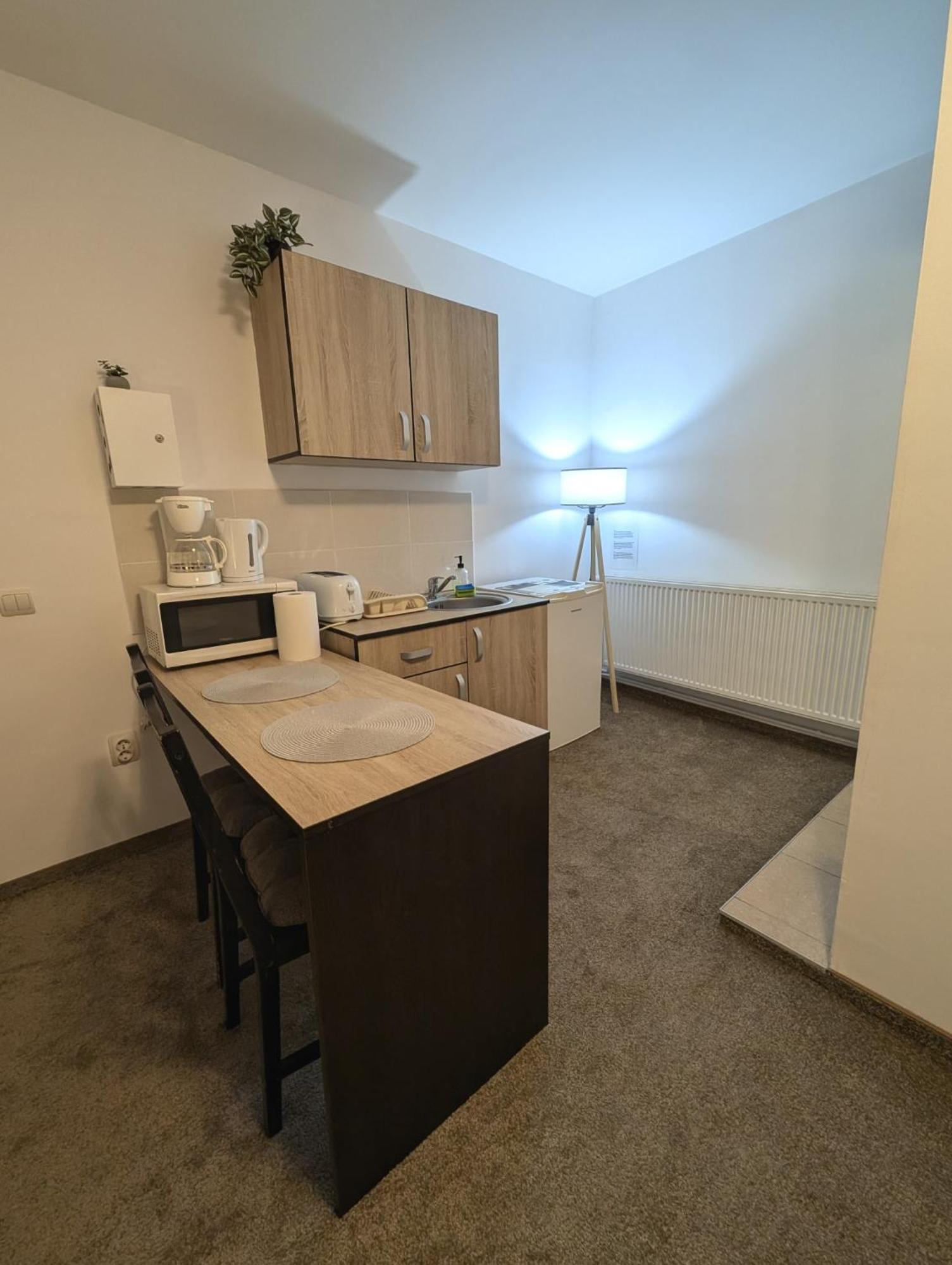 Sandor Central Studio Apartment Târgu-Mureş 외부 사진
